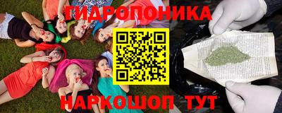 прущие грибы Краснокаменск