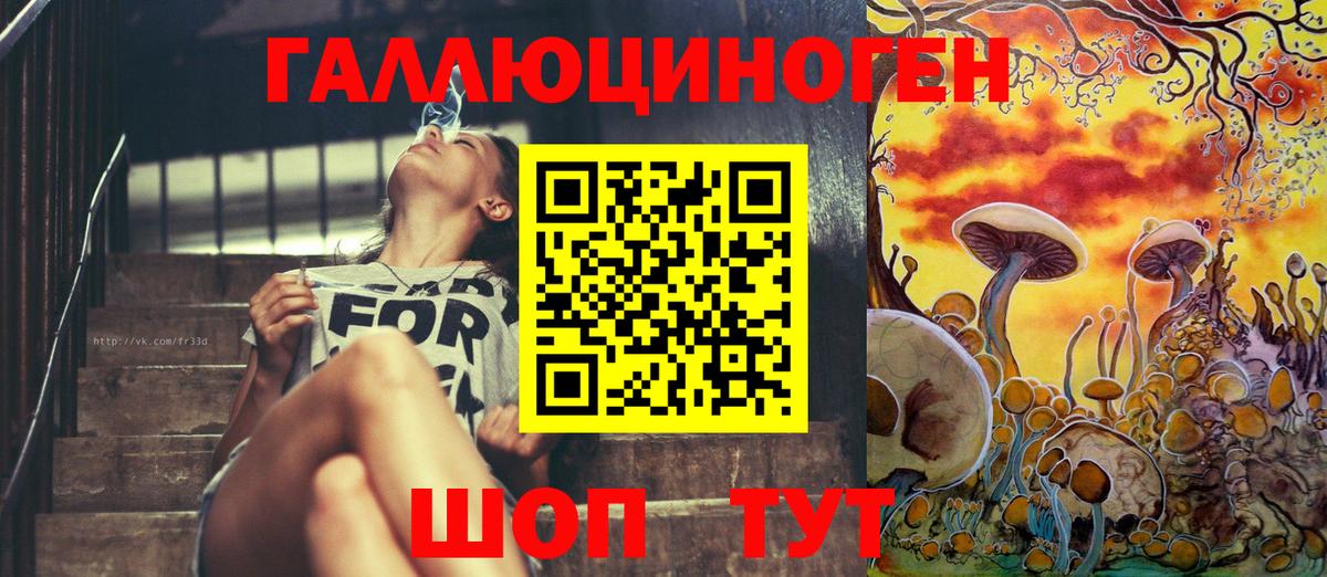 Псилоцибиновые грибы GOLDEN TEACHER  Галлюциногенные грибы Cubensis  Минеральные Воды 