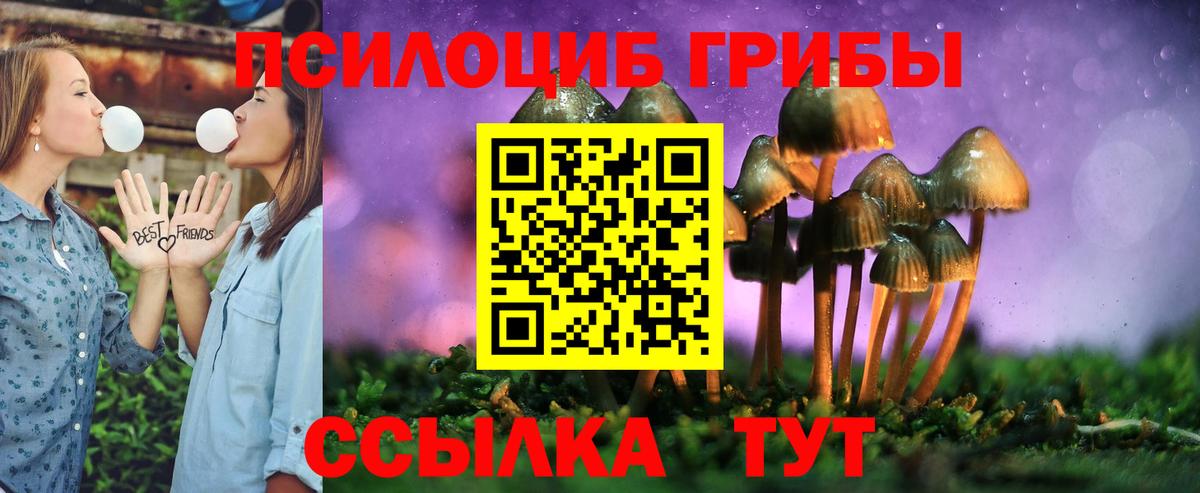 Минеральные Воды  Псилоцибиновые грибы Magic Shrooms  Вход с VPN 