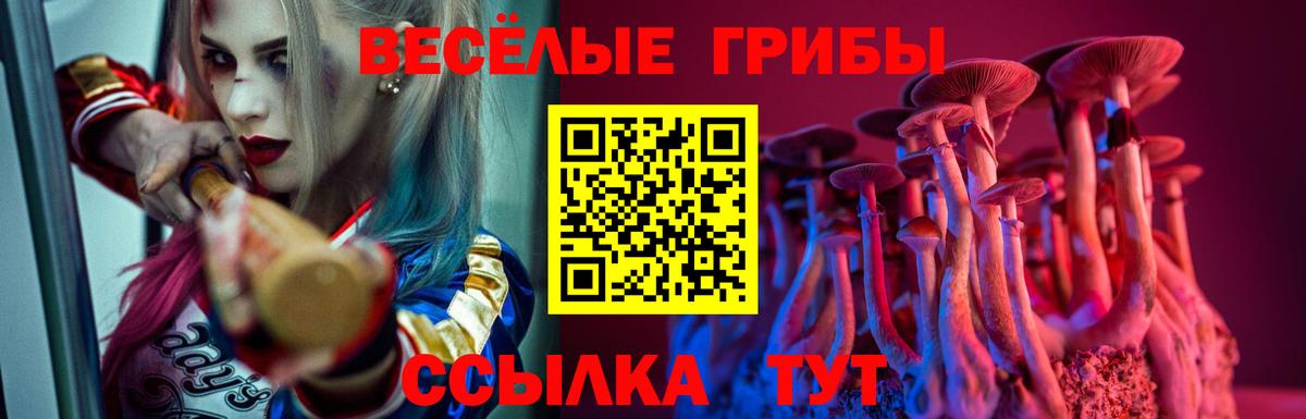 Галлюциногенные грибы GOLDEN TEACHER Минеральные Воды