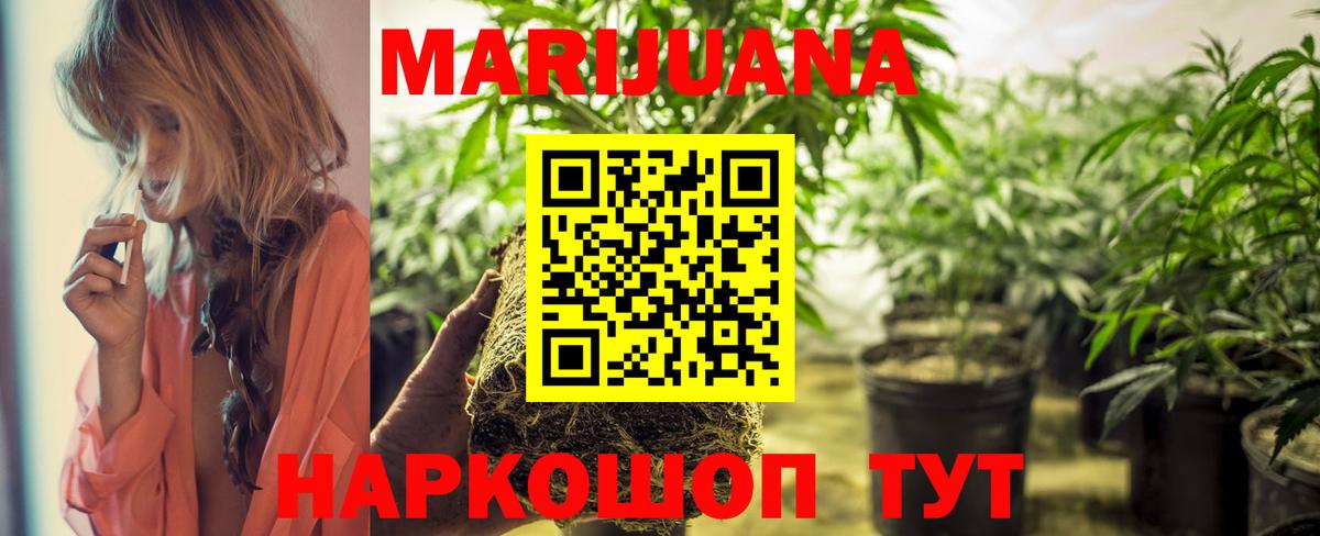 Канабис тримм  Вход с VPN  Марихуана OG Kush  Минеральные Воды  Канабис SATIVA & INDICA 